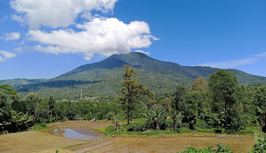 Jasa Pembuatan Website Padang Sidempuan – Website Profesional untuk UMKM dan Bisnis Lokal
